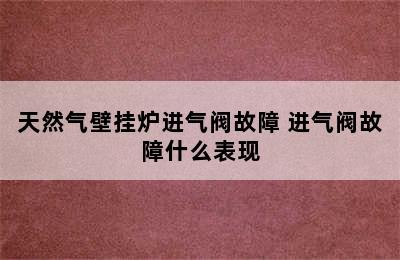 天然气壁挂炉进气阀故障 进气阀故障什么表现